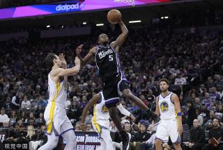 巨型鱼类 巨型鱼类